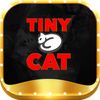 Tinycatcom co
