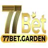 77bet
