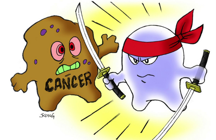 Т-клетки — марионетки, или как перепрограммировать Т-лимфоциты, чтобы вылечить рак