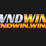 VNDWIN VNDWIN