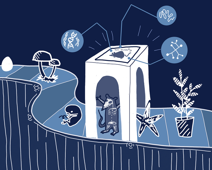 Как мультиомиксы раздвигают границы современной биологии