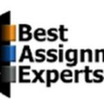 Best Assignment Experts UK
