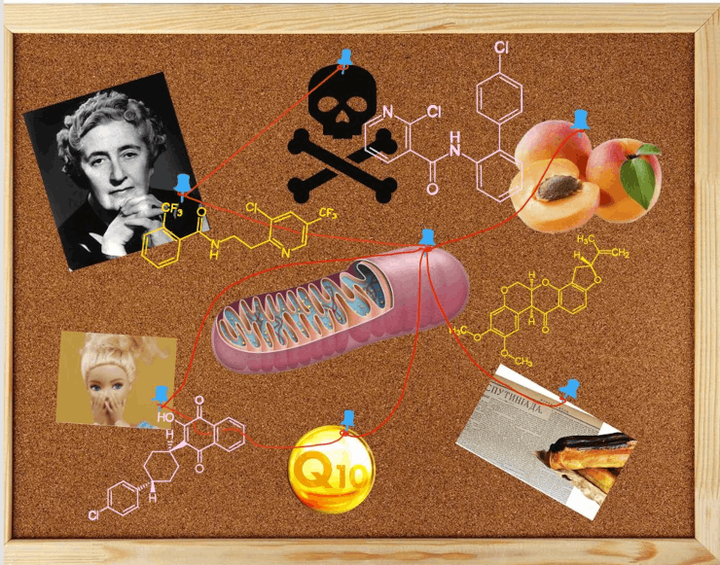 Почему многие убитые персонажи Агаты Кристи живы и при чем тут сельское хозяйство? Рассказ с перчинкой про «диверсантов» клеточного дыхания