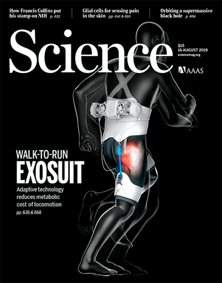 SciNat за август 2019 #3: недостатки митохондрий, структура глаза древней долгоножки и секрет скорости работы болевых рецепторов