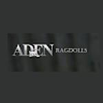 Aden Ragdoll