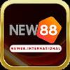 new88international
