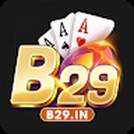 B29 In