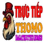 ĐÁ GÀ TRỰC TIẾP
