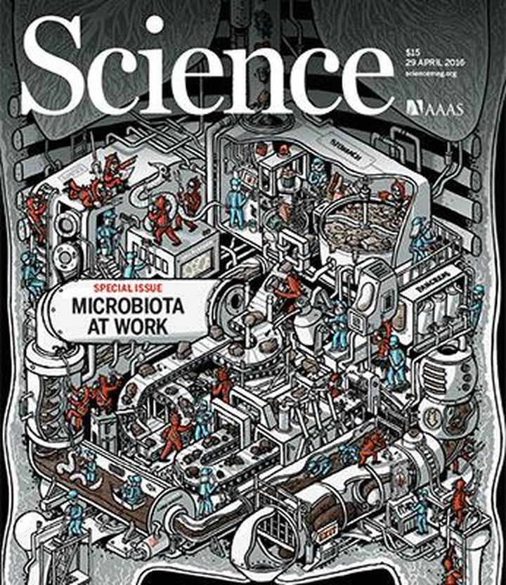 SciNat за апрель 2016 #5: восприятие смыслов слов, мозг спящих ящериц и альтруистичные бактерии кишечника