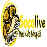 Socolivevideo