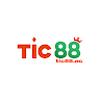 Tic88
