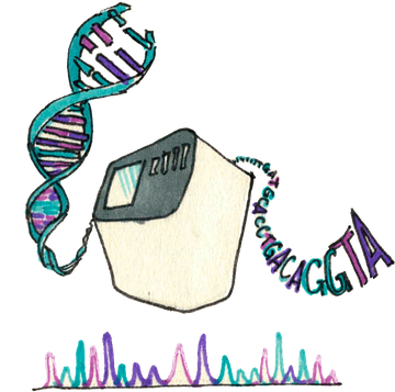 Секвенирование ДНК