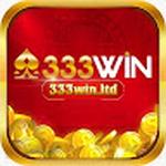 333Win ltd