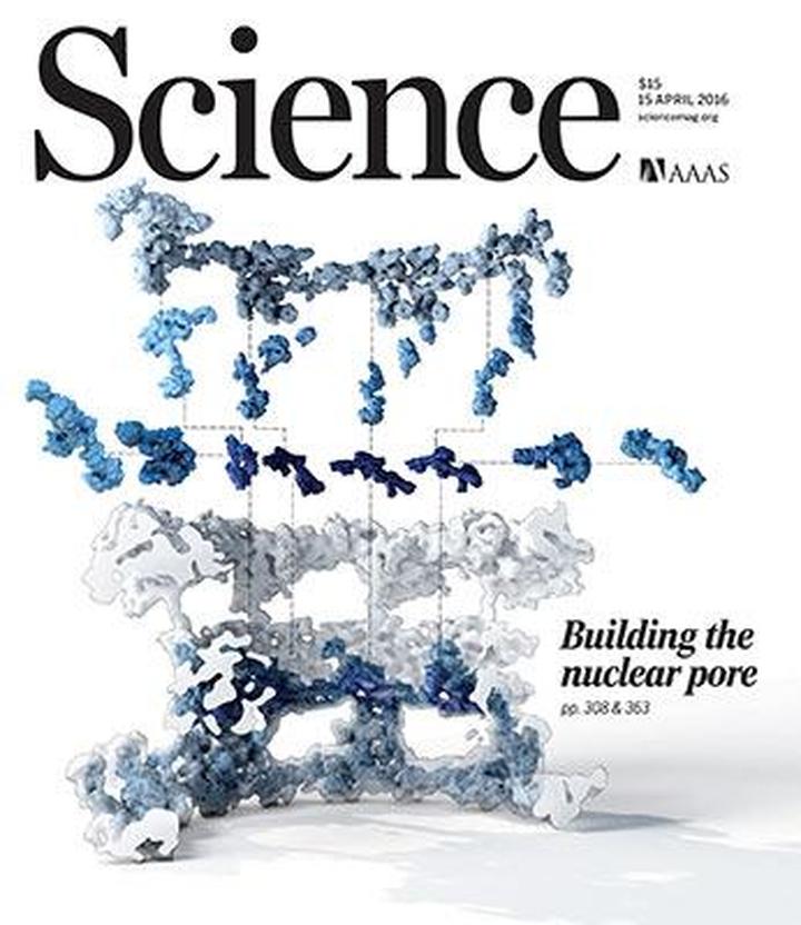 SciNat за апрель 2016 #3: связь вируса Зика и микроцефалии, взаимопомощь полушарий мозга и эффективность CRISPR
