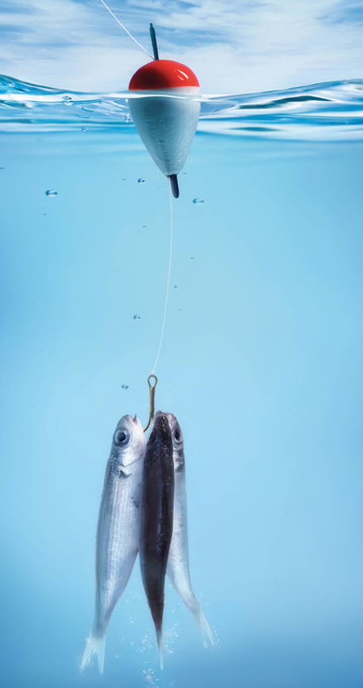 Новый метод CETCh-seq может за одну метку поймать много результатов