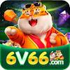 6v66 bet