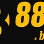 Boats 888B