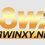 98winxy net