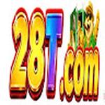 28t