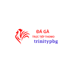 Đá Gà Trực Tiếp Thomo Hôm Nay