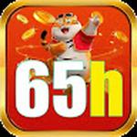 65h