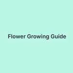 Flower Growing Guide
