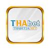 THABET net