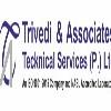 Trivedi Associates