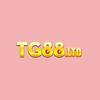Tg88 Ltd