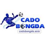 Cá độ bóng đá Nền Tảng Cá