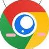 Google Chrome