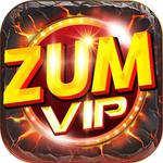 Zumvip Net