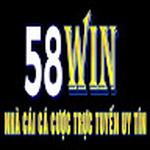 58Winvip skin