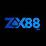 ZX88 Nền tảng