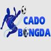 Cá Cược Bóng Đá dangkytycacuocbongda