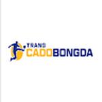 Trang Cá Độ Bóng Đá