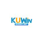 Kuwiny net