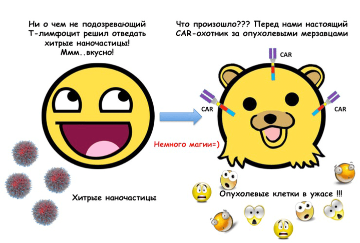 CAR-T-клетки, получаемые <em>in situ</em> (<em>in vivo</em>), — путь к удешевлению и широкодоступности технологии?