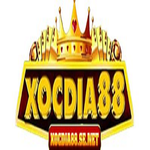 Loto188 Cổng lô đề