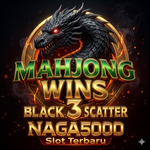 Naga5000 Performance Analysis and Implementation Success