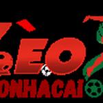 tyllekeonhacaifutbol