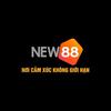 NEW88 nhà cái