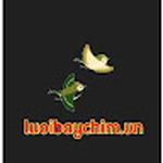 Luoibaychim Vn