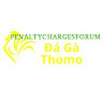 Đá Gà Trực Tiếp Thomo