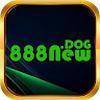 888New dog