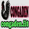 CON GÀ ĐEN FIT