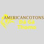 Đá Gà Trực Tiếp Thomo
