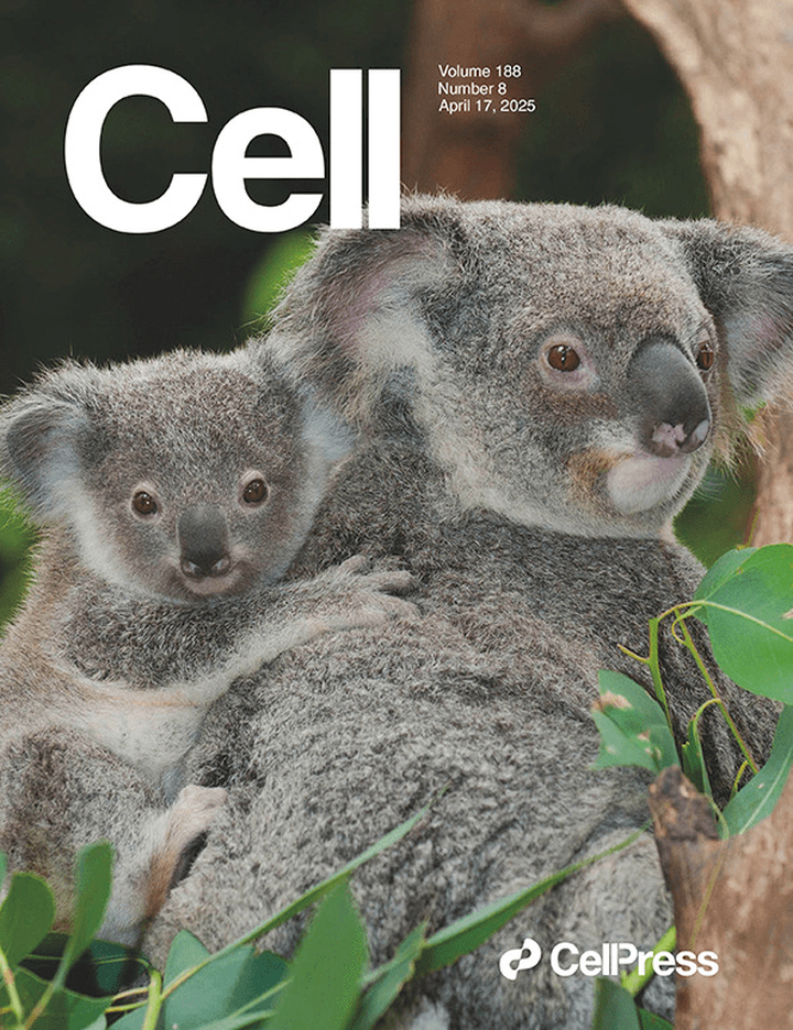 SciNat за апрель 2025 #3: обезьяньи геномы и бычий грипп