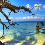 Andaman seahawk travels