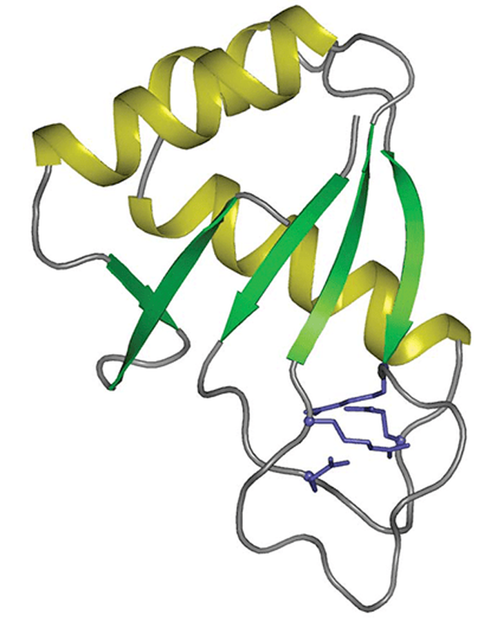 Тайны «молекулярных паразитов», или Как путешествовать по геному